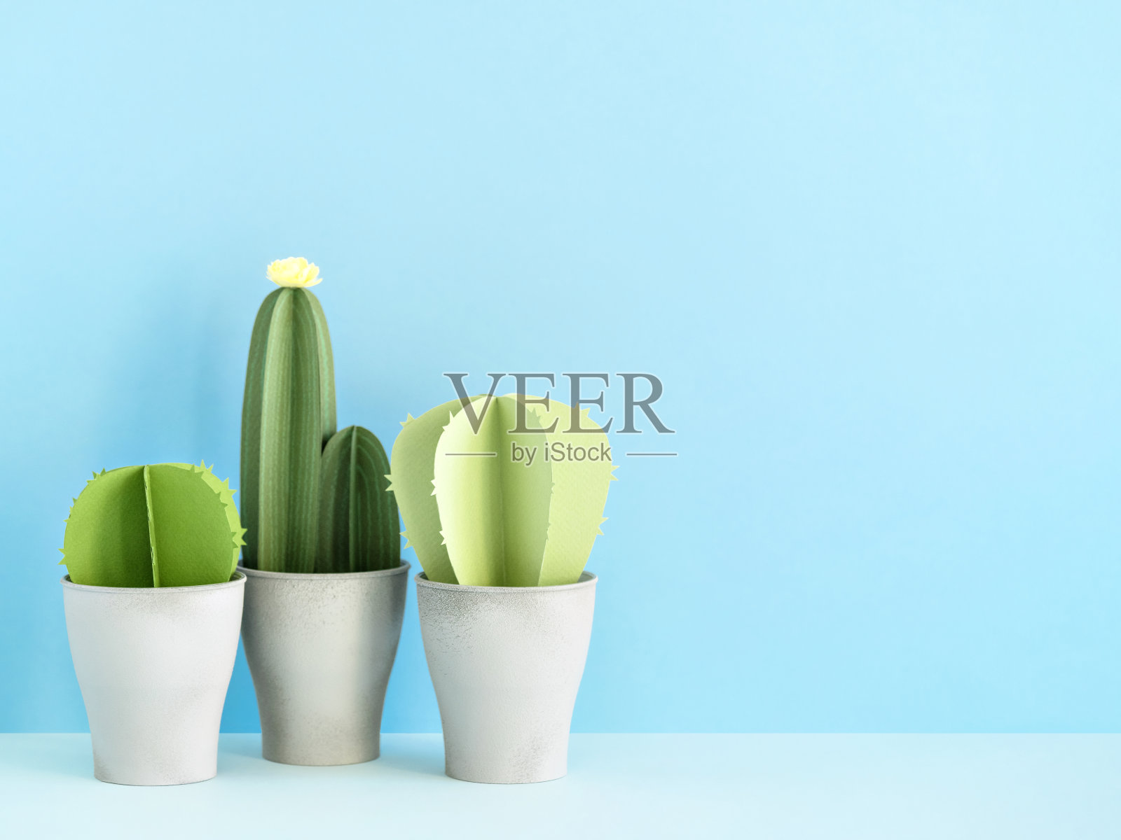 灰色花盆里的三棵不同的仙人掌。照片摄影图片