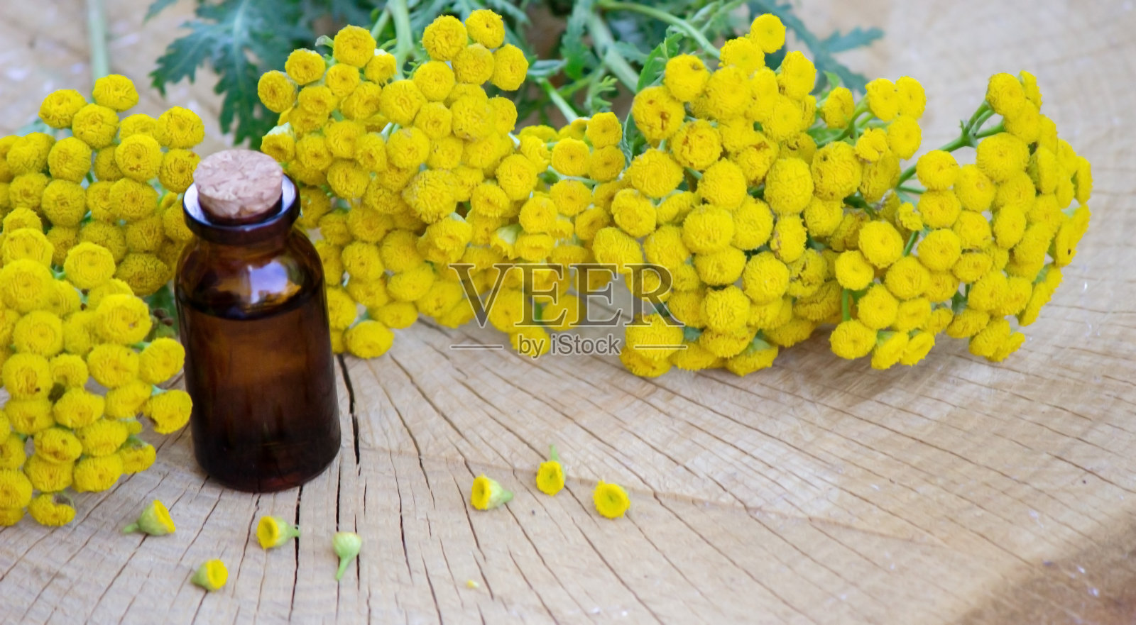 木色背景上的不朽精油。草本植物照片摄影图片