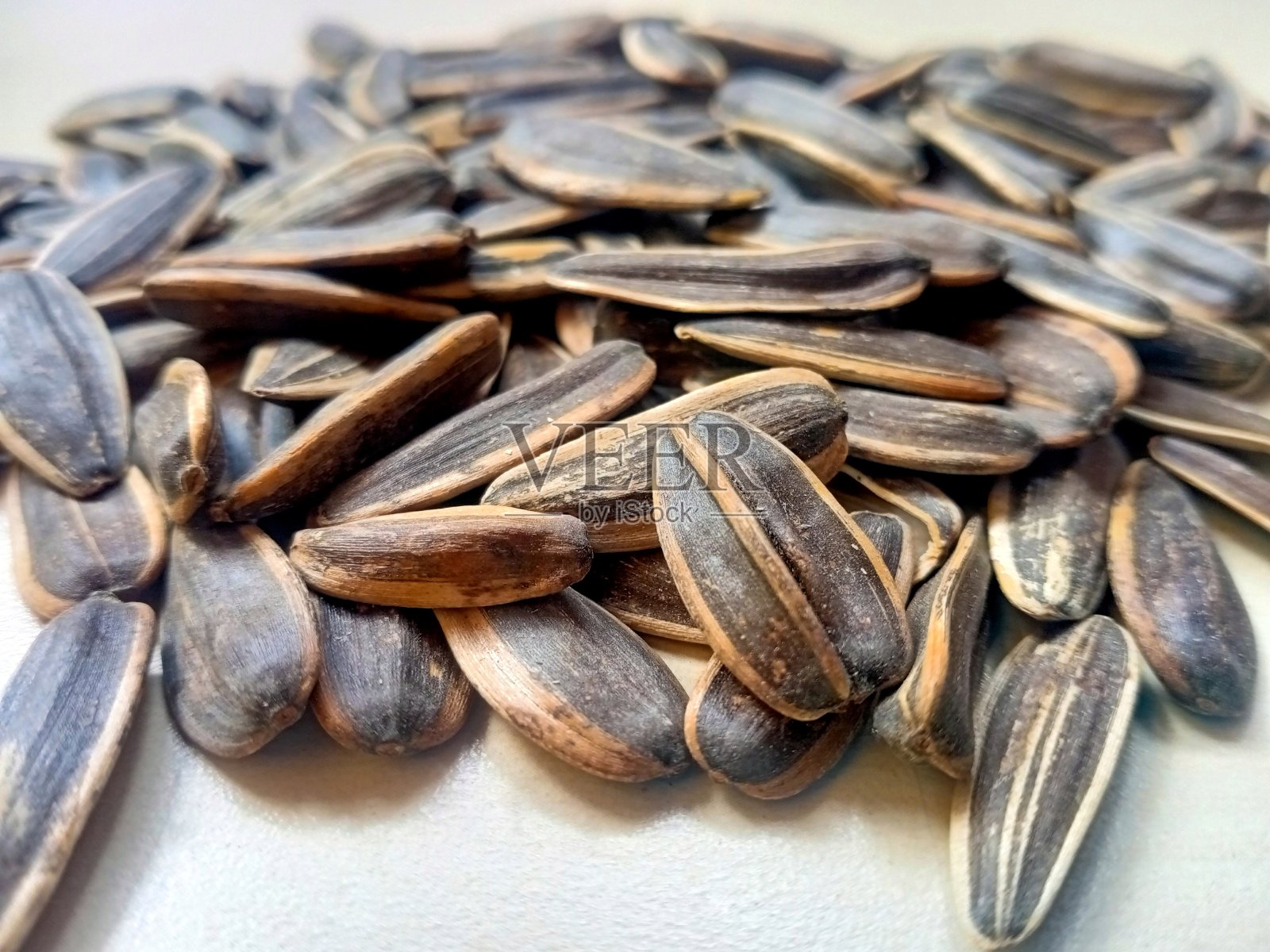 葵花籽堆照片摄影图片