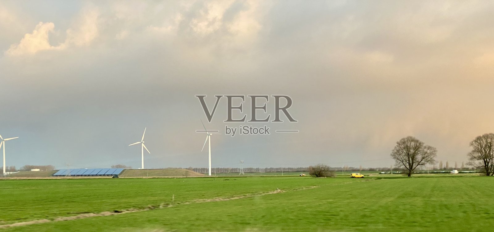 荷兰的田野和树林照片摄影图片