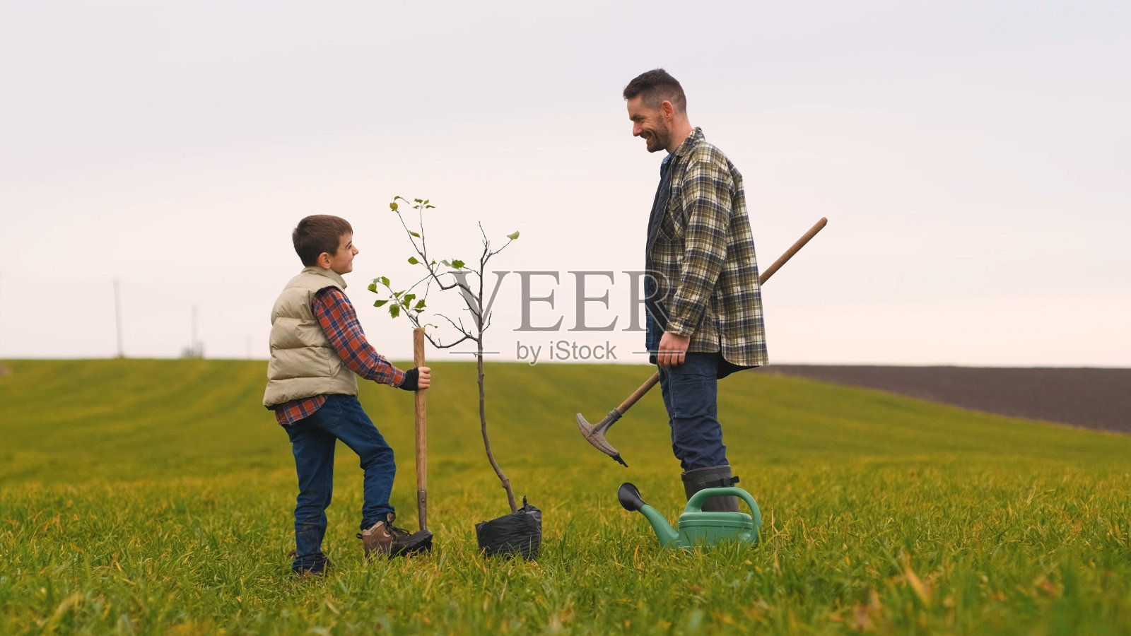 爸爸和他的小儿子在田里种树照片摄影图片