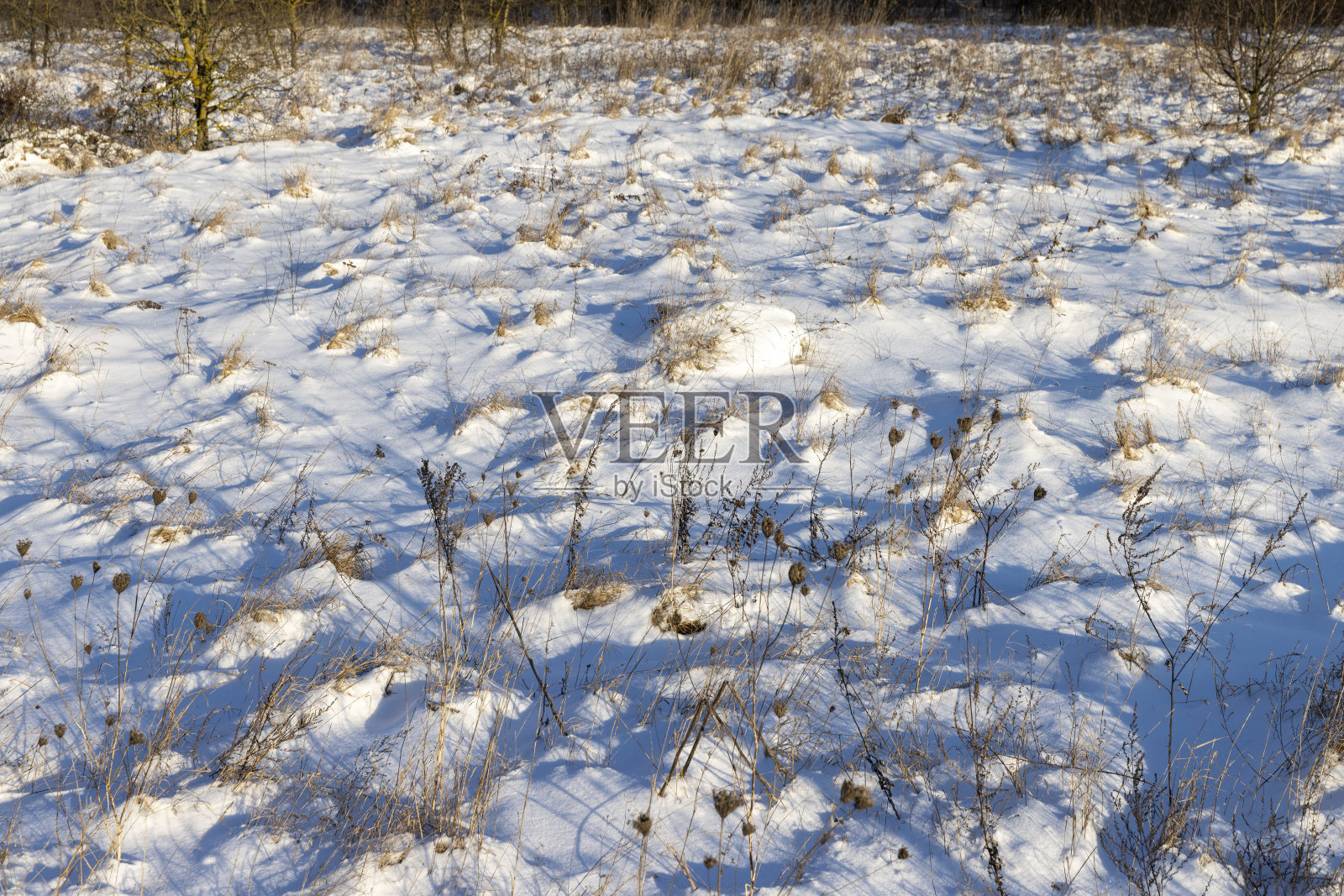 冬去春来，大雪纷飞照片摄影图片