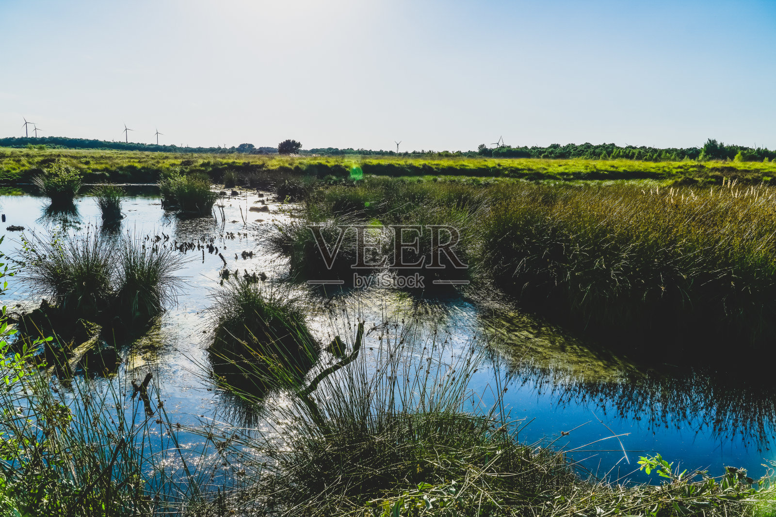 德国的沼泽地。照片摄影图片