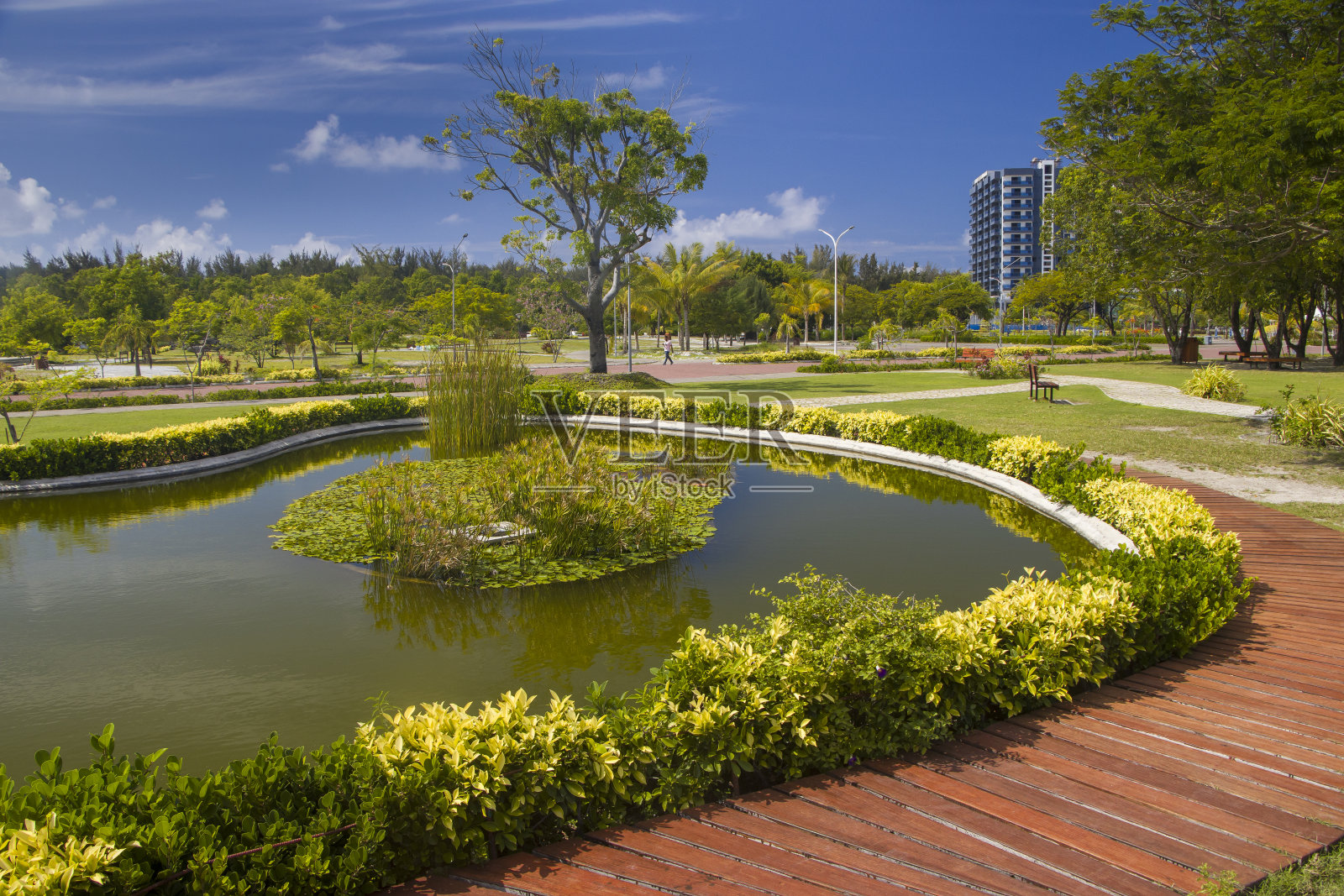胡胡麦尔中央公园的池塘和木小道。男,马尔代夫照片摄影图片