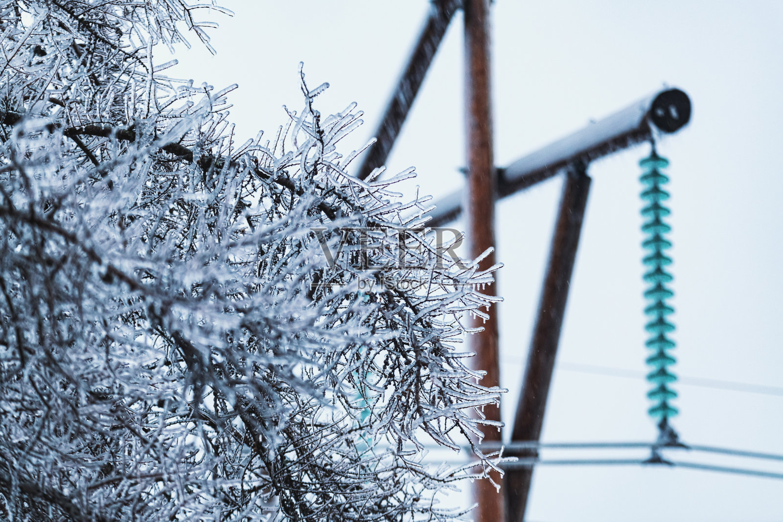 冰暴停电照片摄影图片