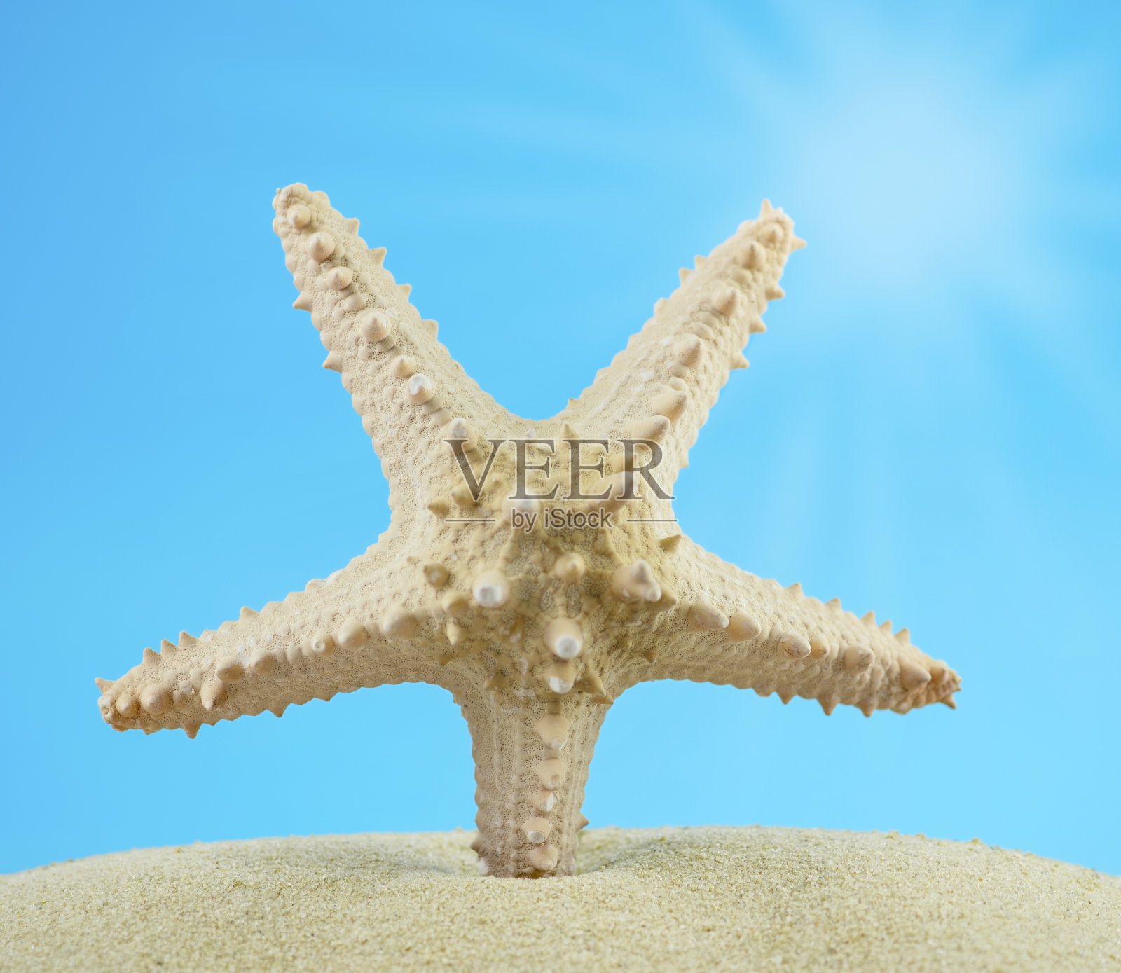 夏天的背景。海星在沙滩上，蔚蓝的天空和阳光。照片摄影图片