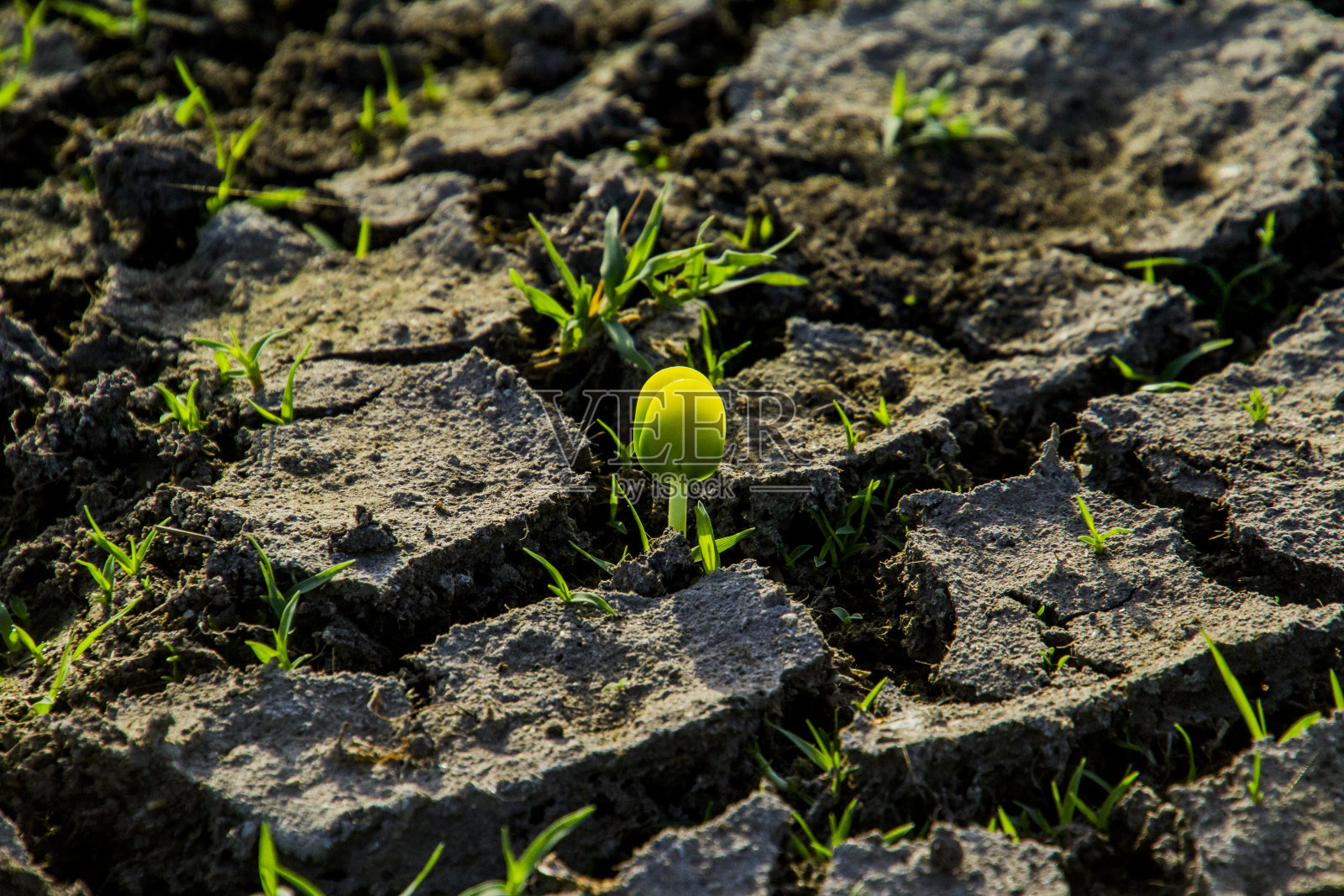 地球因气候变化而破碎照片摄影图片