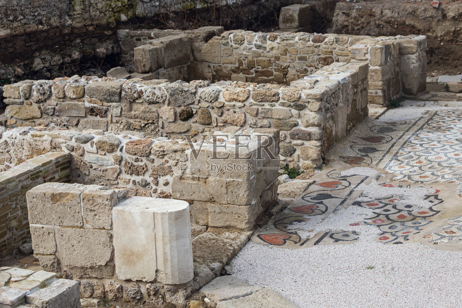 特写镜头照片摄影图片