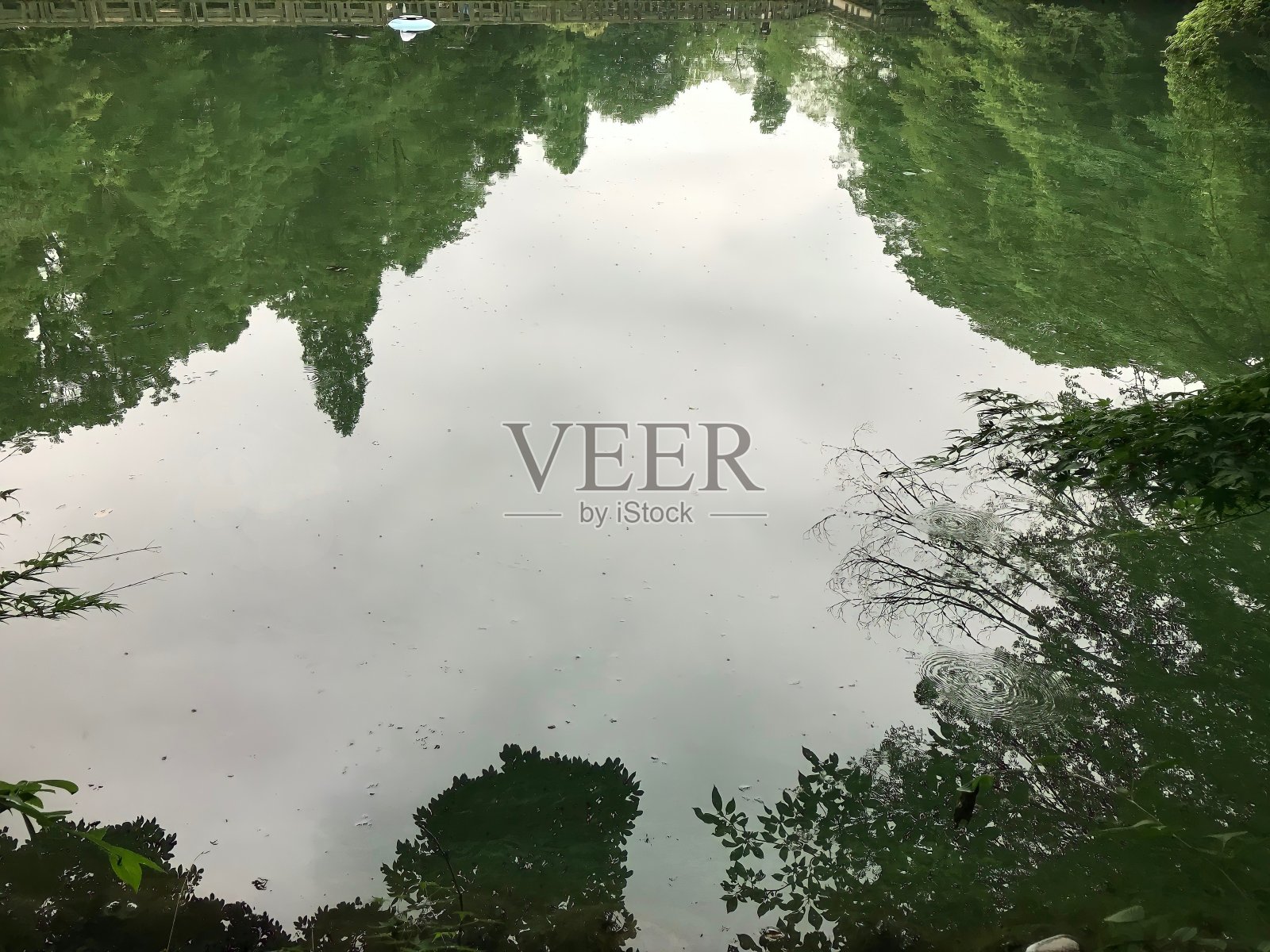 倒立的森林倒映在水面上，这是日本喜之路的Inokashira公园照片摄影图片