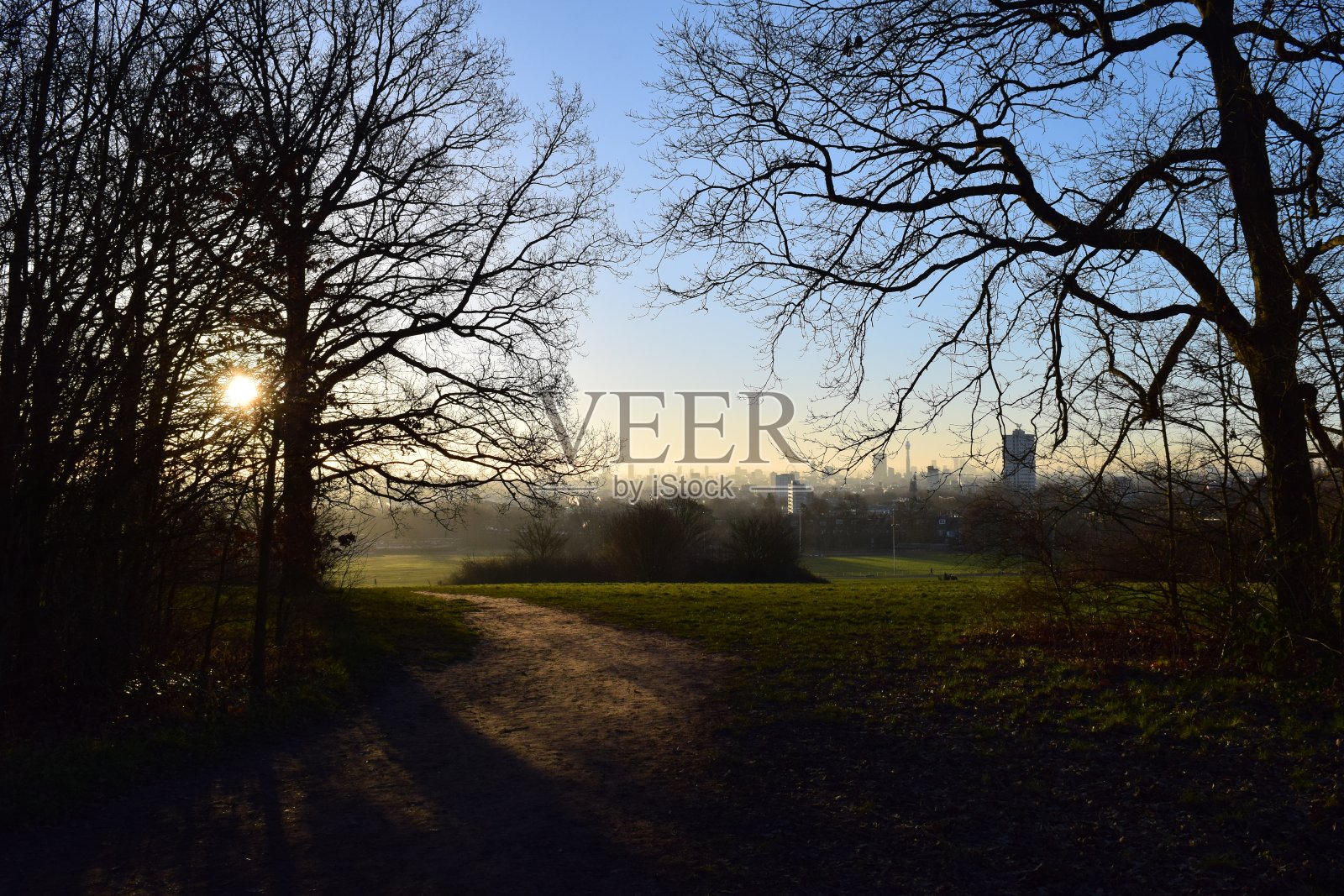 冬日的阳光穿过树林。照片摄影图片