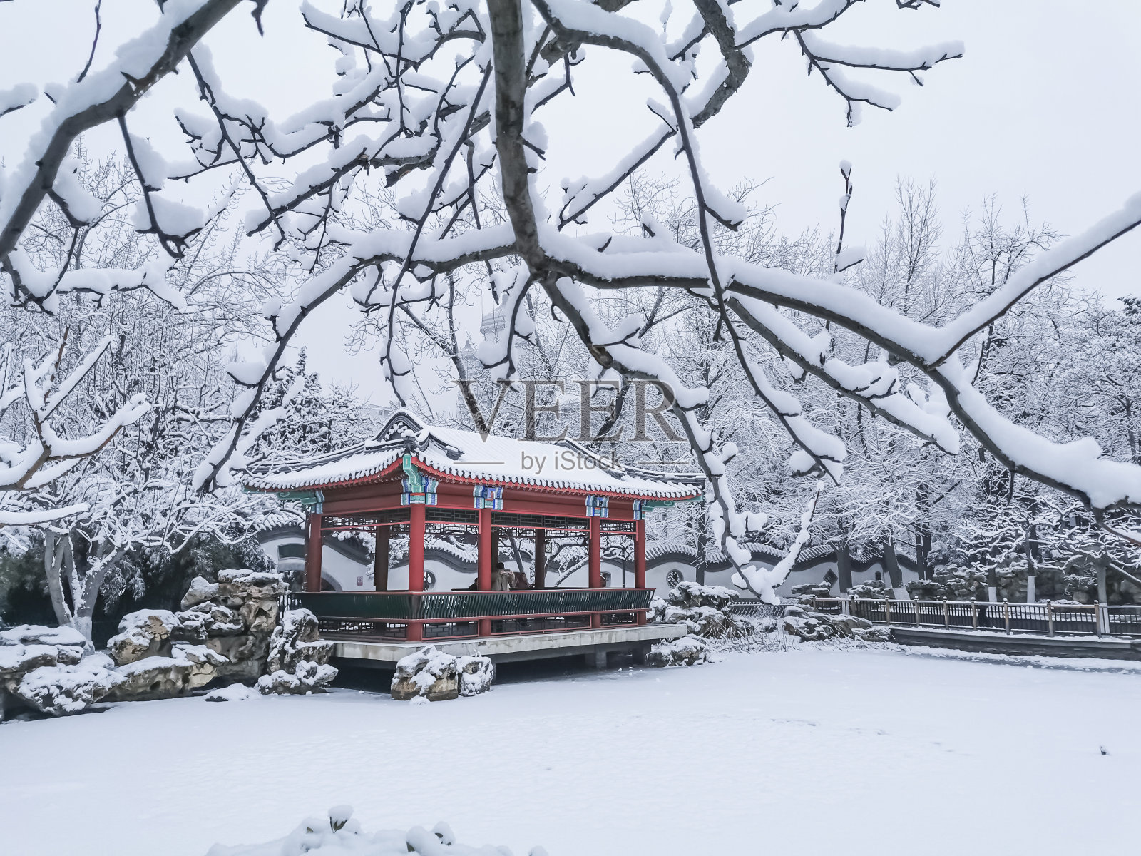 公园里的雪照片摄影图片