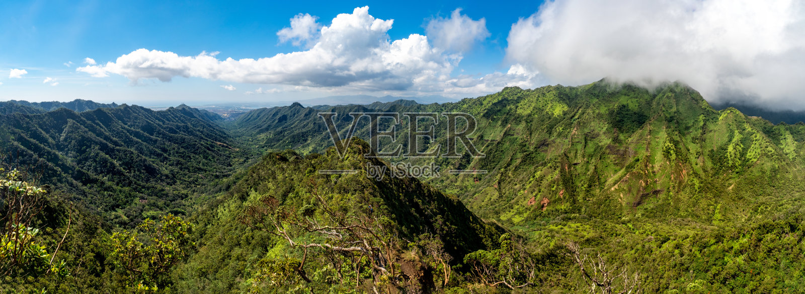 《巴利照片摄影图片
