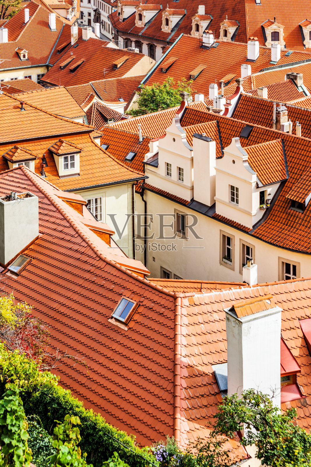 布拉格的老住宅照片摄影图片