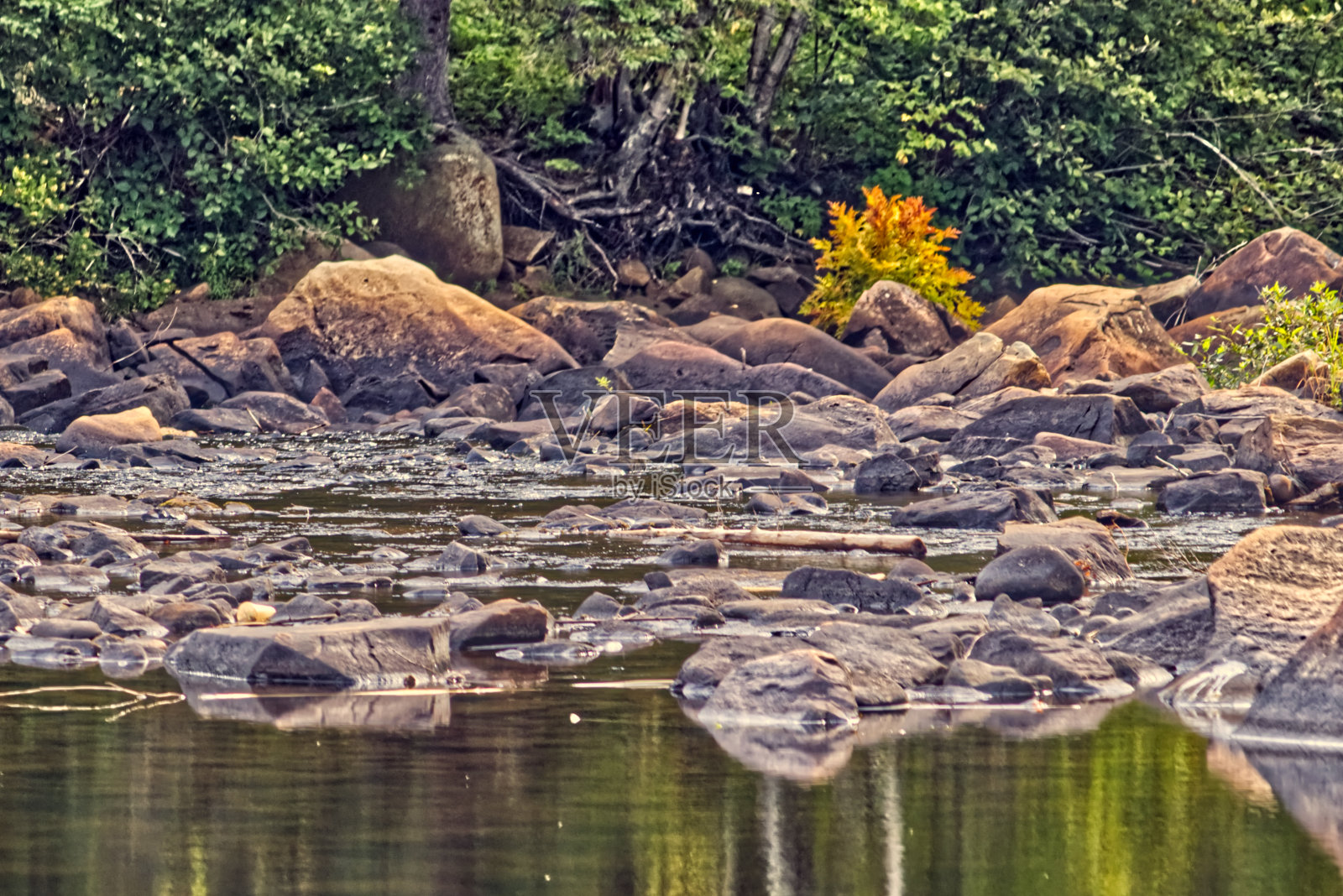 植被决定了水流的颜色，加拿大的雷鸣湾照片摄影图片