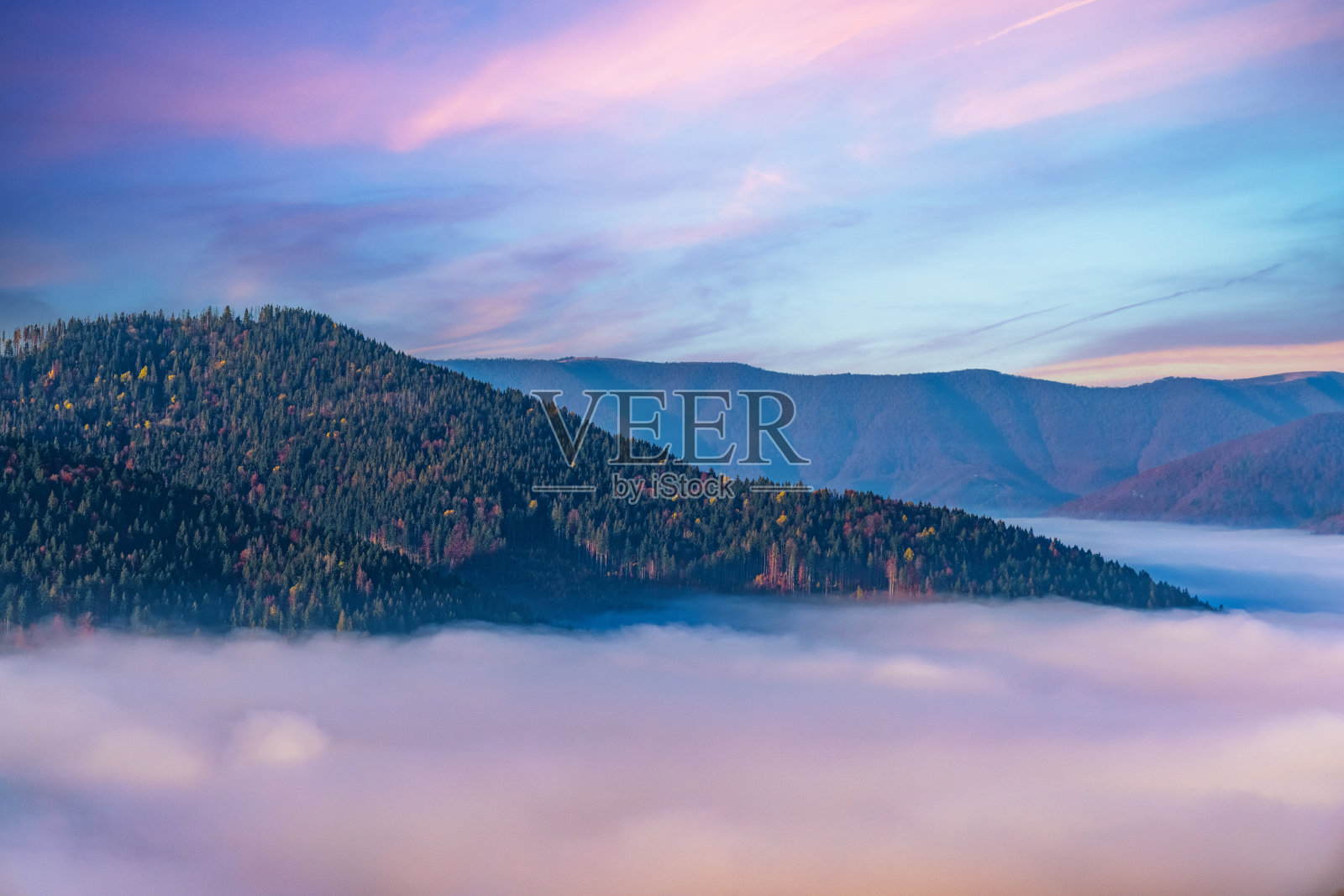 云雾环绕的针叶林环绕的大山照片摄影图片