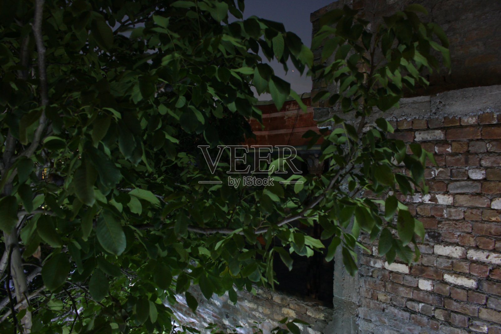 夜晚没有闪光照片摄影图片