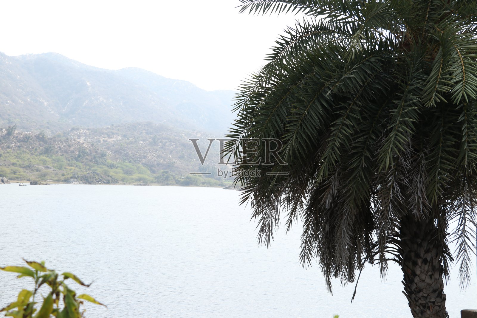 美丽的湖和绿色的树。照片摄影图片