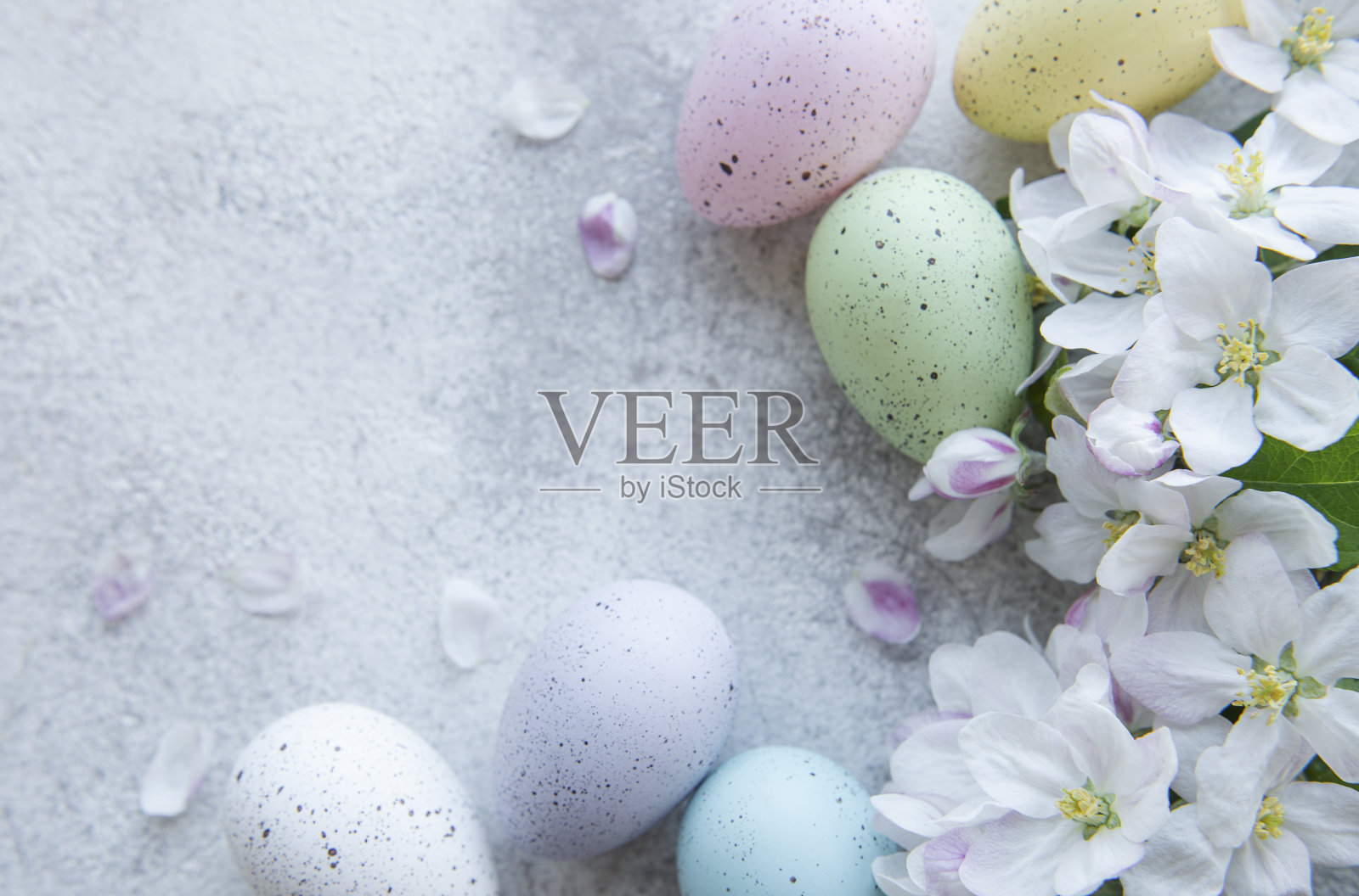 在混凝土背景上的彩色复活节彩蛋照片摄影图片