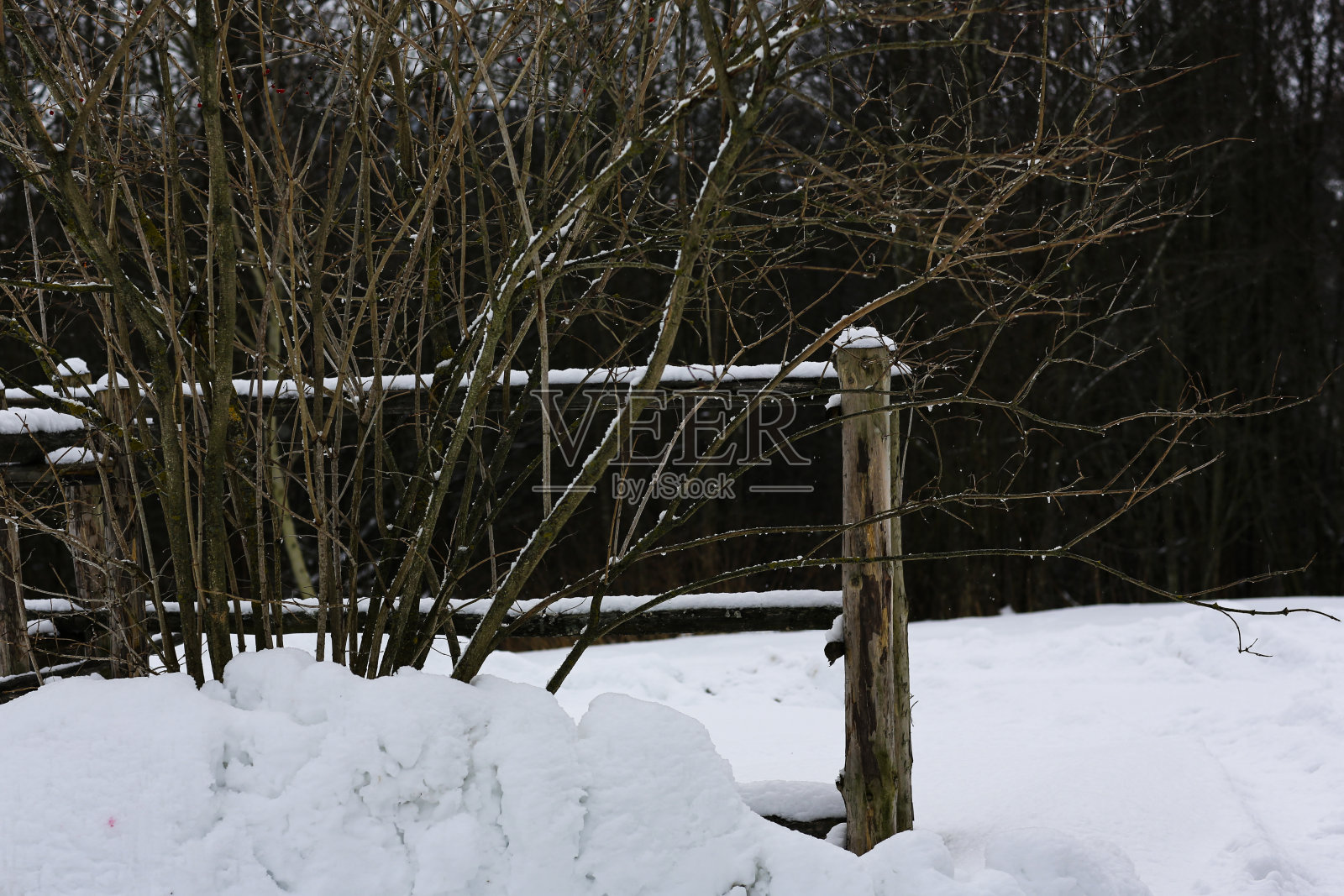 木制的柳条栅栏。俄罗斯冬天的风景。冰雪覆盖的树木。被雪覆盖的废弃俄罗斯村庄。照片摄影图片