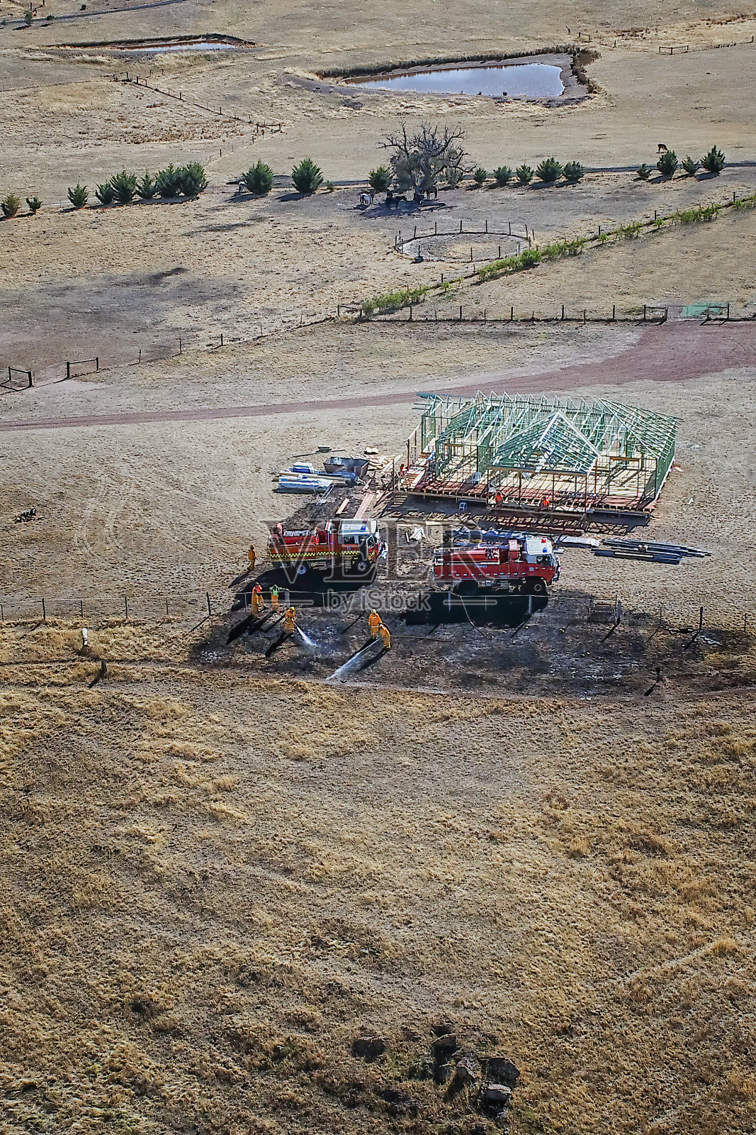 灭火火草照片摄影图片