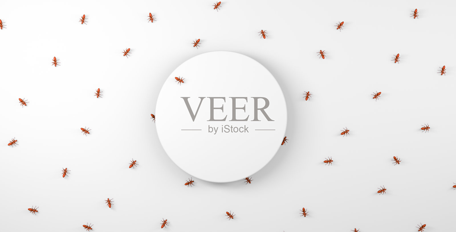 逼真的红蚂蚁行走在白色的地板和空旷的圆形空间。照片摄影图片