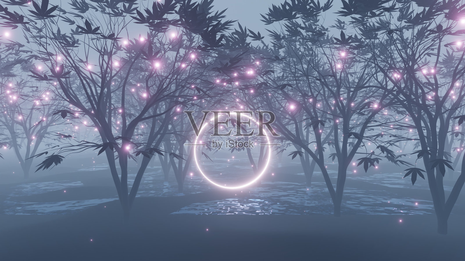 带有发光粒子和圆圈的神秘森林照片摄影图片