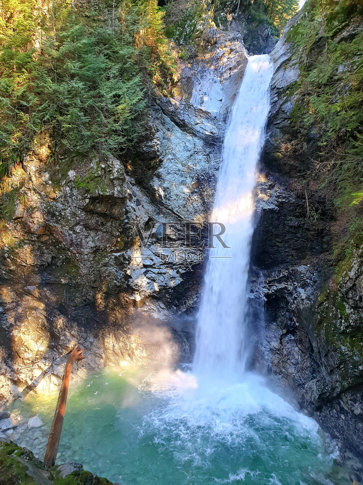 加拿大照片摄影图片
