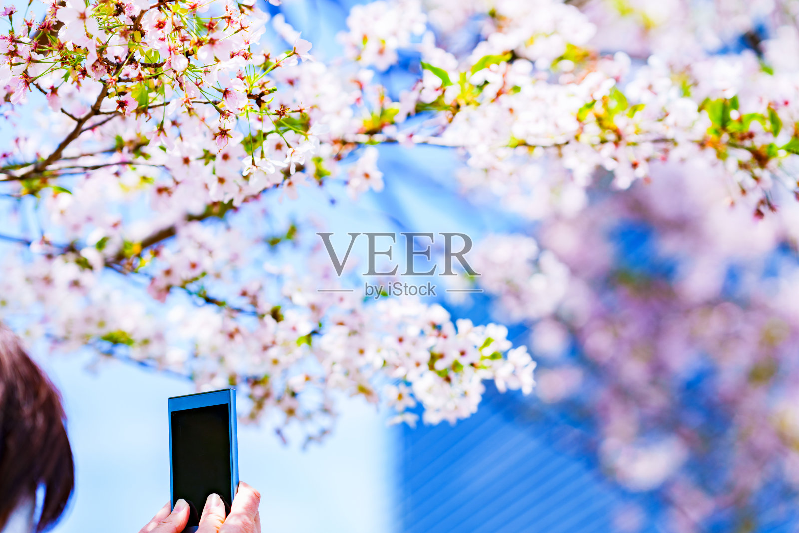 在日本，一名女子用智能手机拍照并分享社交网络照片摄影图片