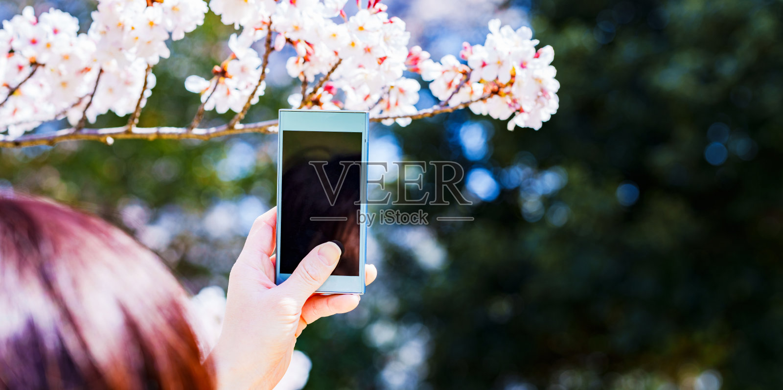 在日本，一名女子用智能手机拍照并分享社交网络照片摄影图片