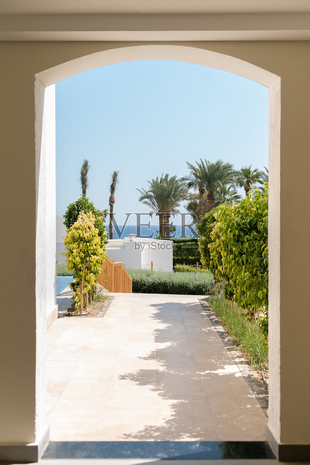 有树木、棕榈树的海景，还有穿过拱门通往大海的路照片摄影图片