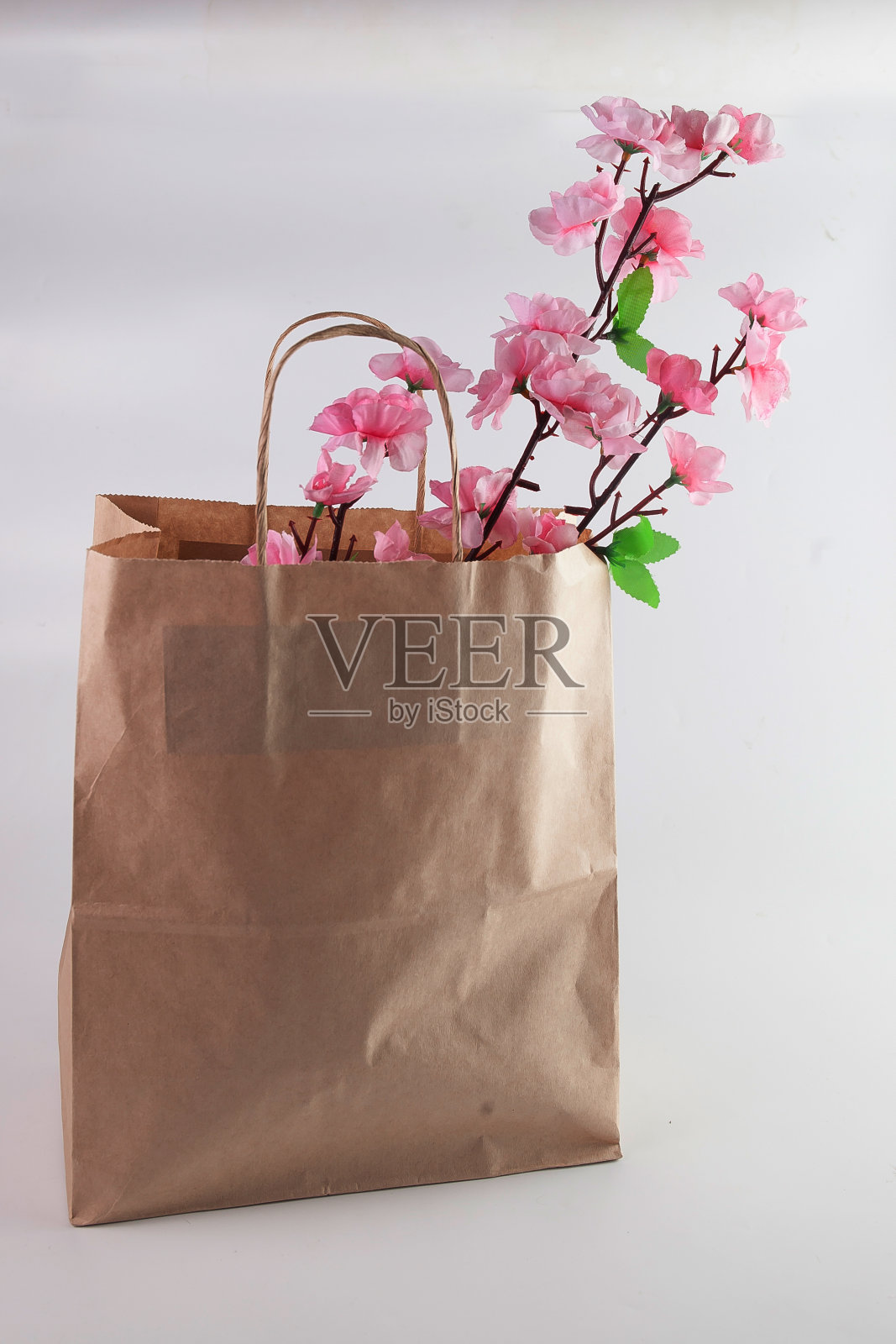 彩色的花在一个棕色的工艺纸袋与把手照片摄影图片