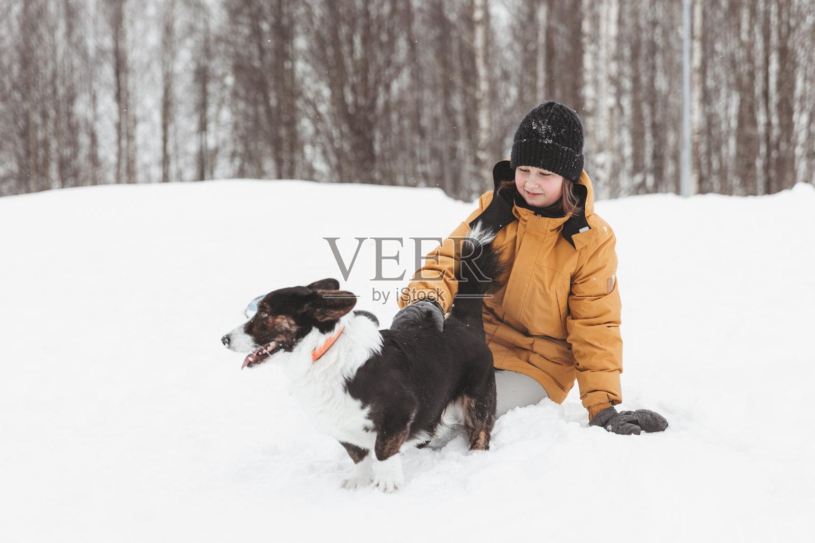 一个女孩在冬季公园里和一只柯基犬玩耍照片摄影图片
