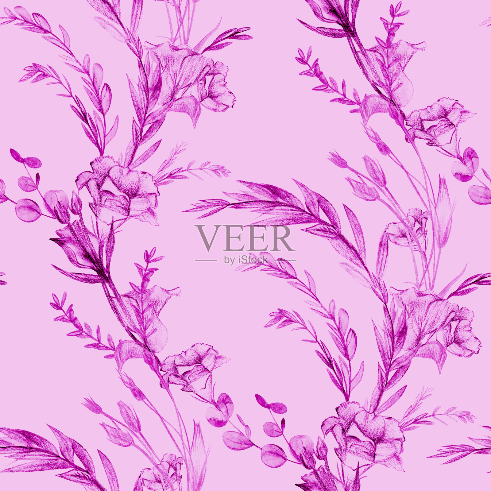 粉红色植物无缝图案与珠光花画在铅笔插画图片素材