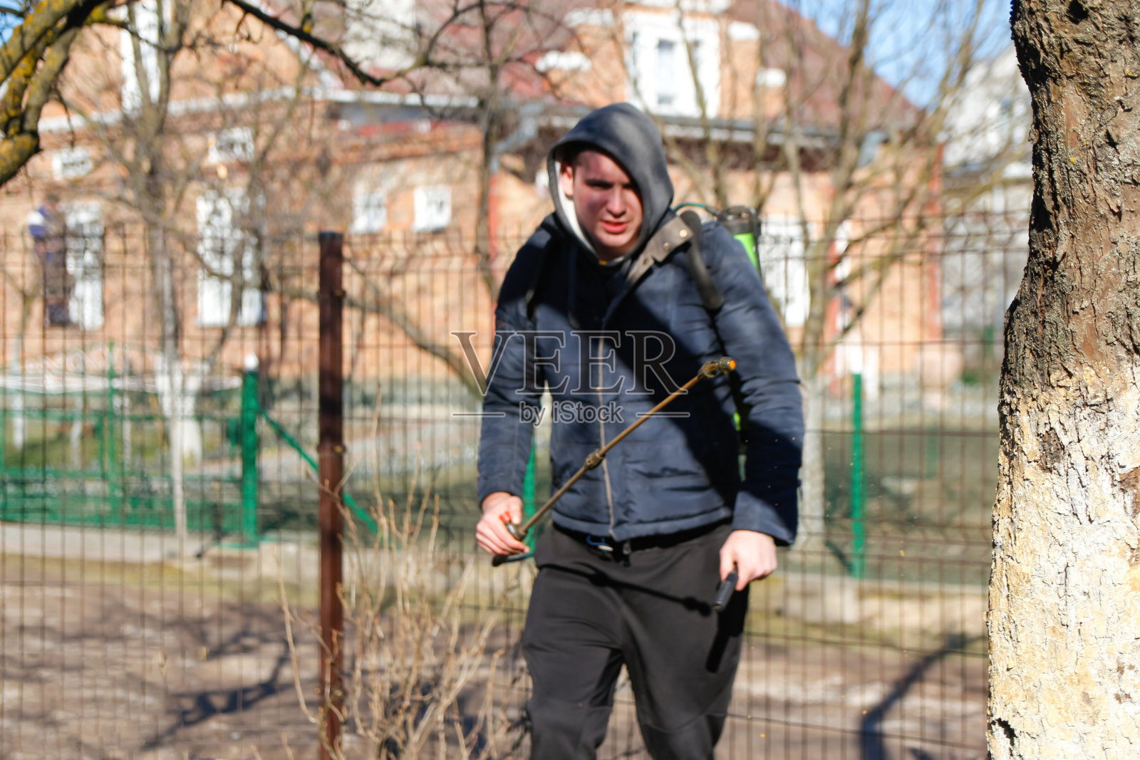 有机生态农业。在春天的花园里，一个农民正在用人工杀虫剂喷洒树。农业和园艺。化学喷洒。年轻的农民失去了焦点照片摄影图片
