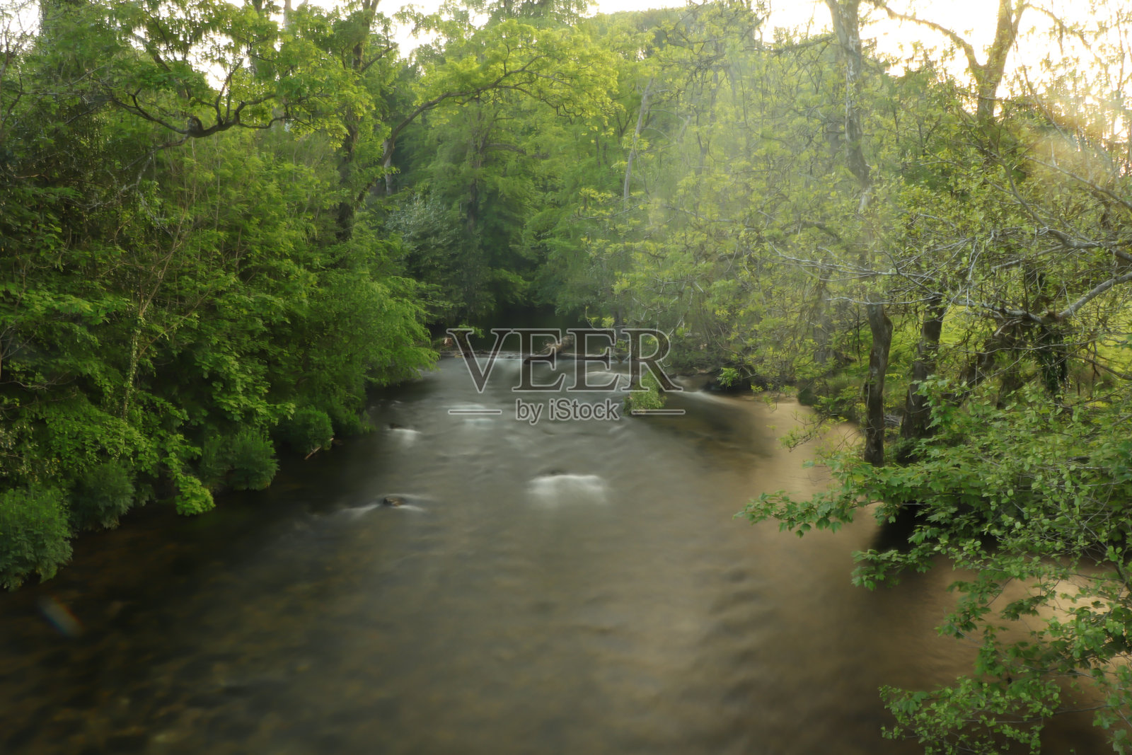 漫步在南德文郡的小径上照片摄影图片