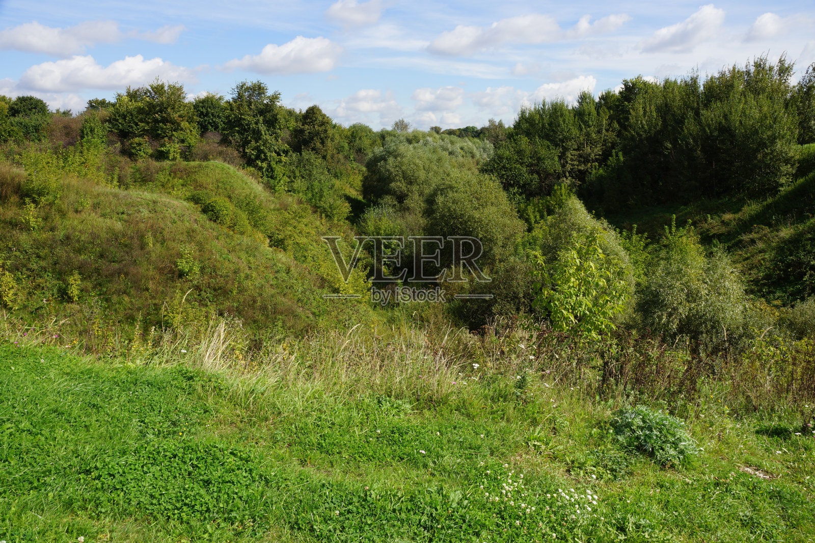 夏日的风景，绿草如茵，绿树成荫，在阳光明媚的日子里衬托着蓝天照片摄影图片