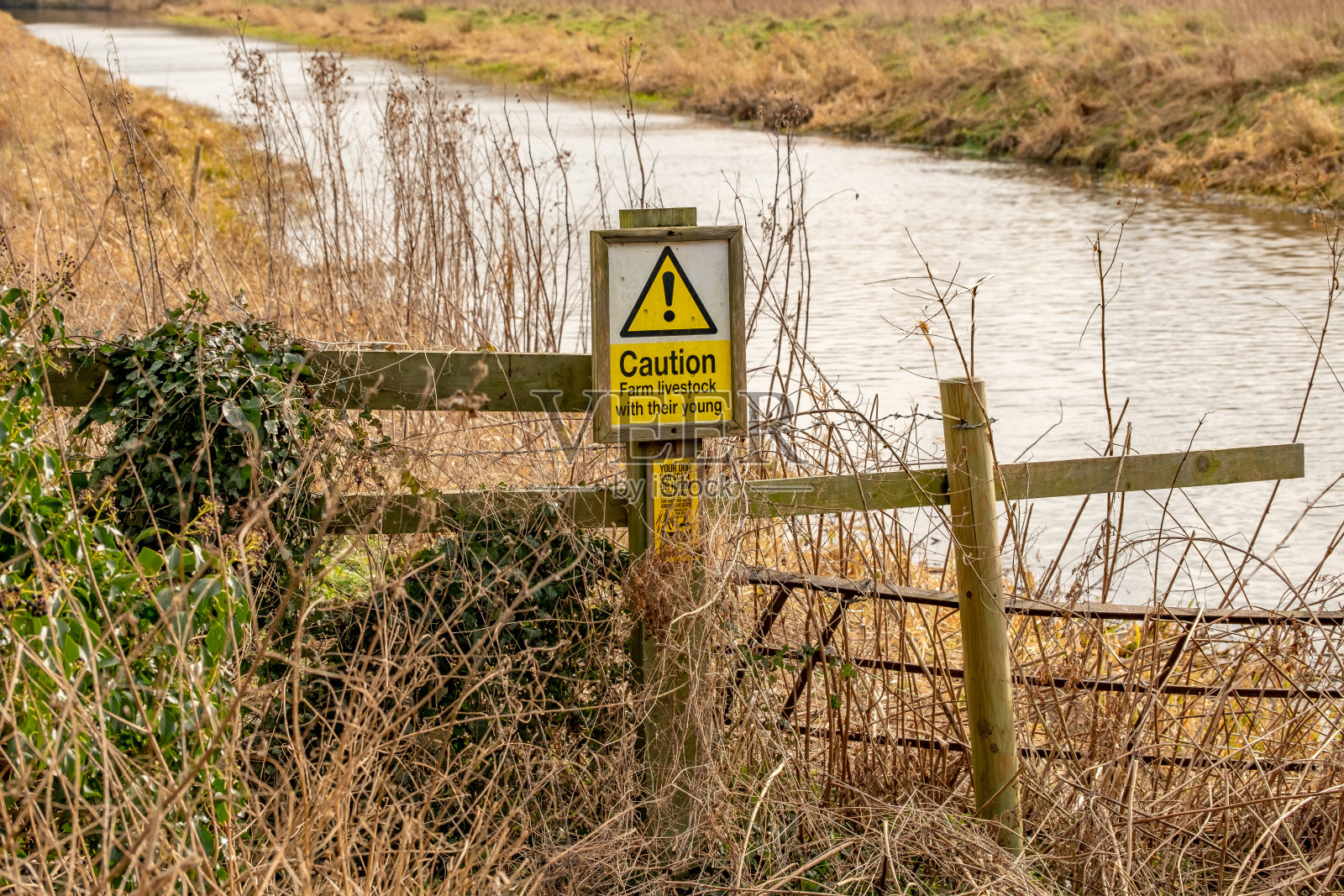 诺福克乡村的牲畜标志照片摄影图片