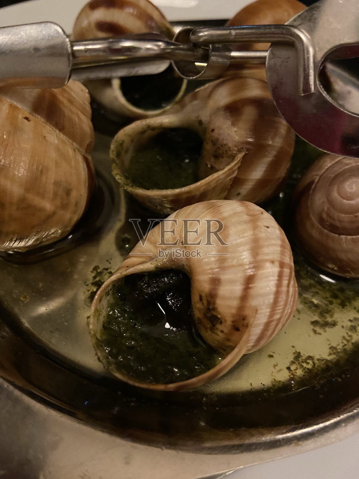 蜗牛照片摄影图片