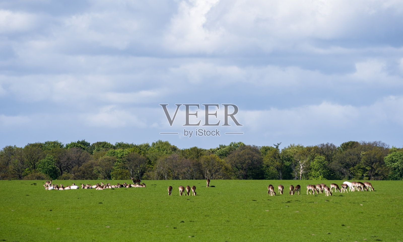 迪尔黑文照片摄影图片