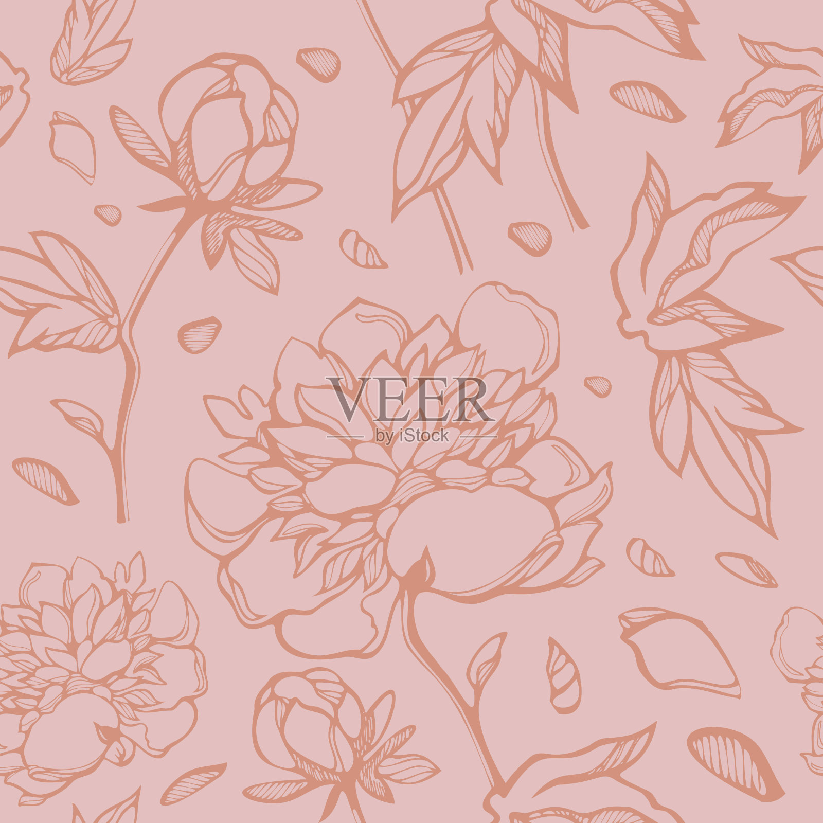 精致的米色无缝图案牡丹花和叶子。“n插画图片素材