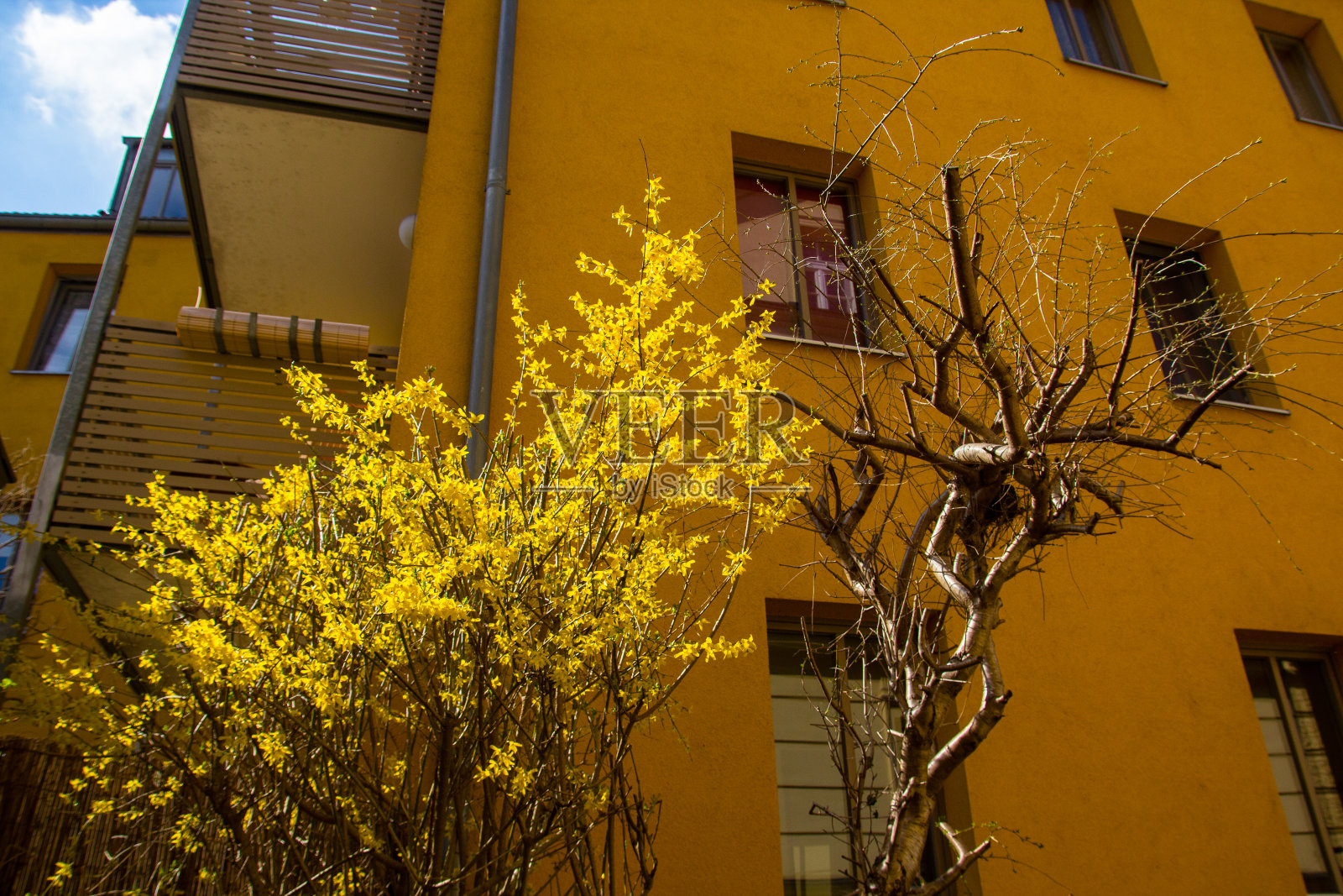 雷根斯堡，中世纪时期的多瑙河河畔照片摄影图片