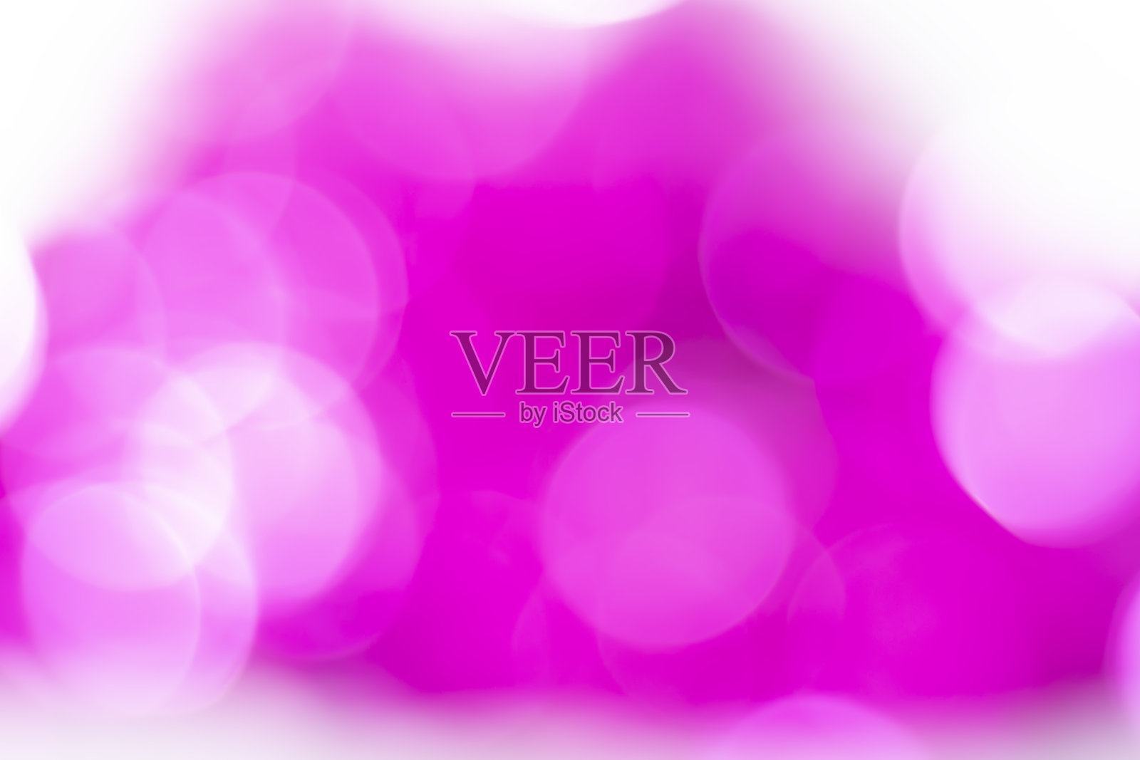 彩色玫瑰背景与散焦灯照片摄影图片