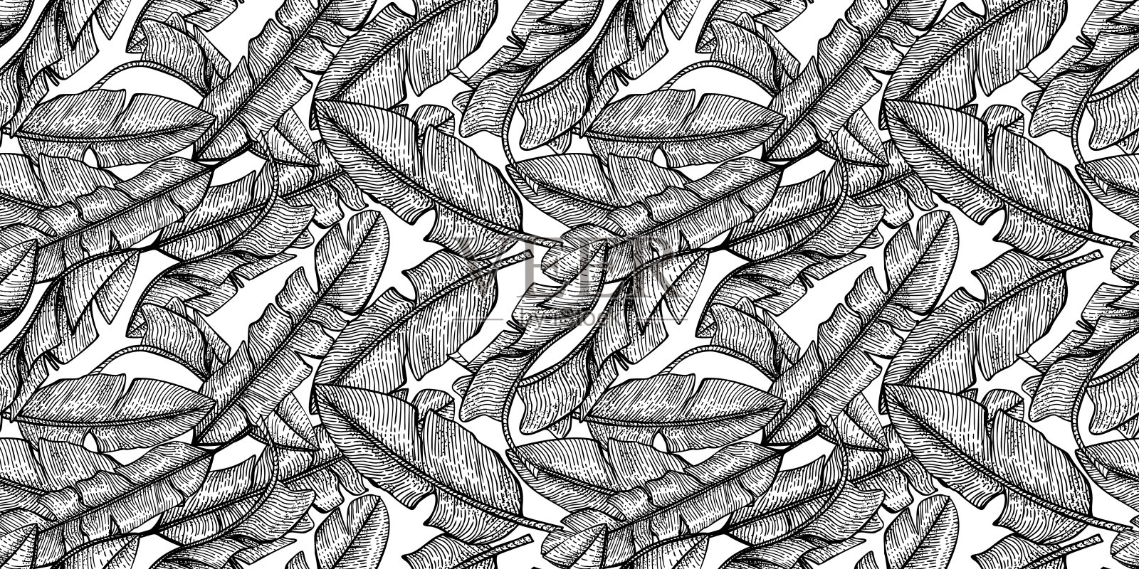 香蕉叶无缝图案在白色背景。雕刻风格的复古热带树叶。插画图片素材