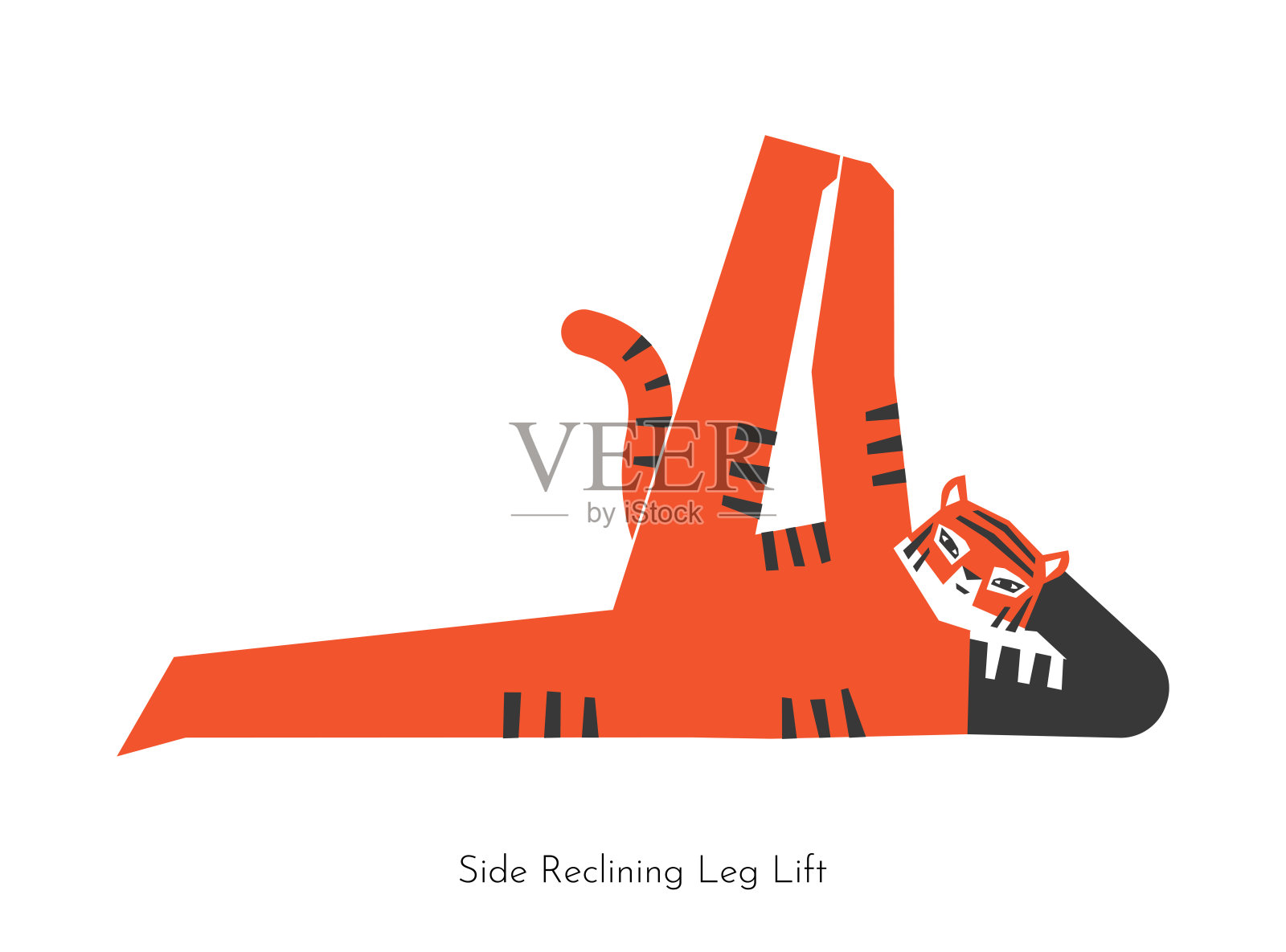 矢量概念与动物卡通人物学习核心瑜伽练习-俯卧起坐。中国虎做侧卧抬腿动作。平衡健身训练的平面插图插画图片素材