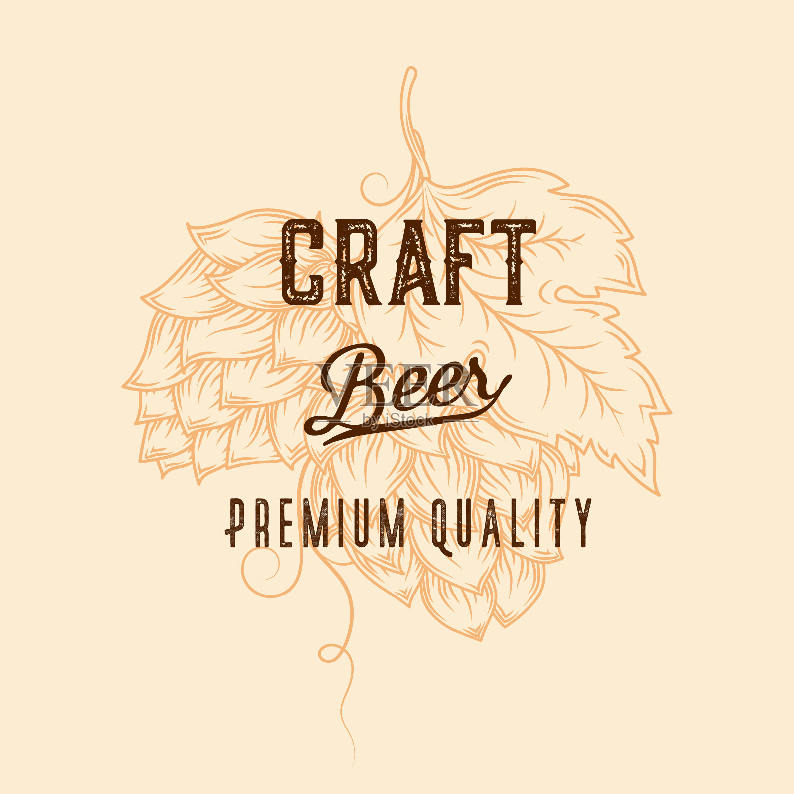 精酿啤酒海报。向量酒吧模板与啤酒花和小麦。插画图片素材