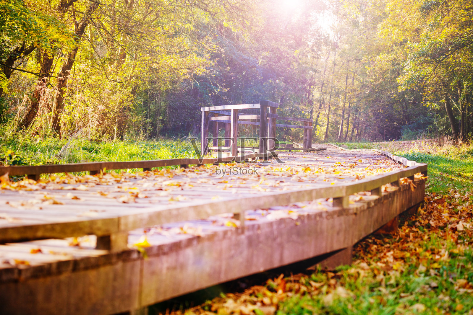 美丽的阳光明媚的秋天公园与木制小径散步照片摄影图片