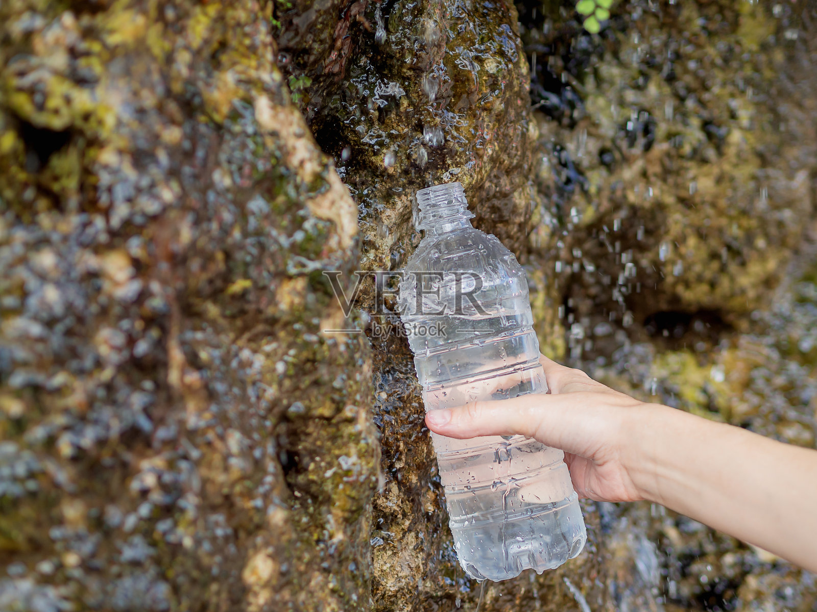 一位妇女的手将一个塑料瓶子装满了从岩石上流下的泉水。照片摄影图片