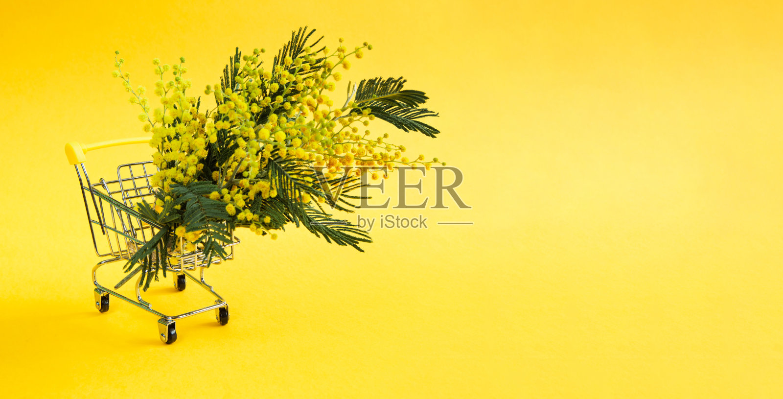 超市购物车里的黄色含羞草花束。为妇女节、春节、3月8日、复活节买礼物。本空间照片摄影图片