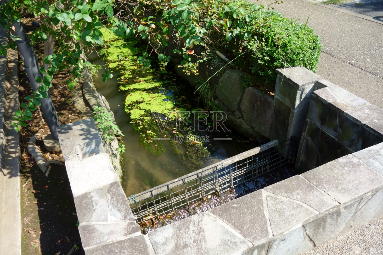 开发灌溉渠照片摄影图片