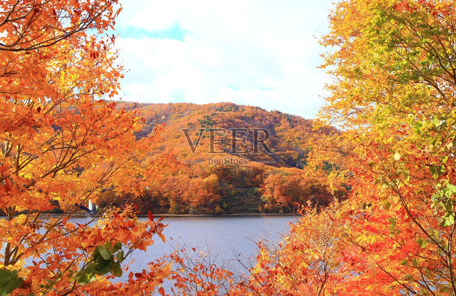 青原湖有着美丽的秋叶照片摄影图片